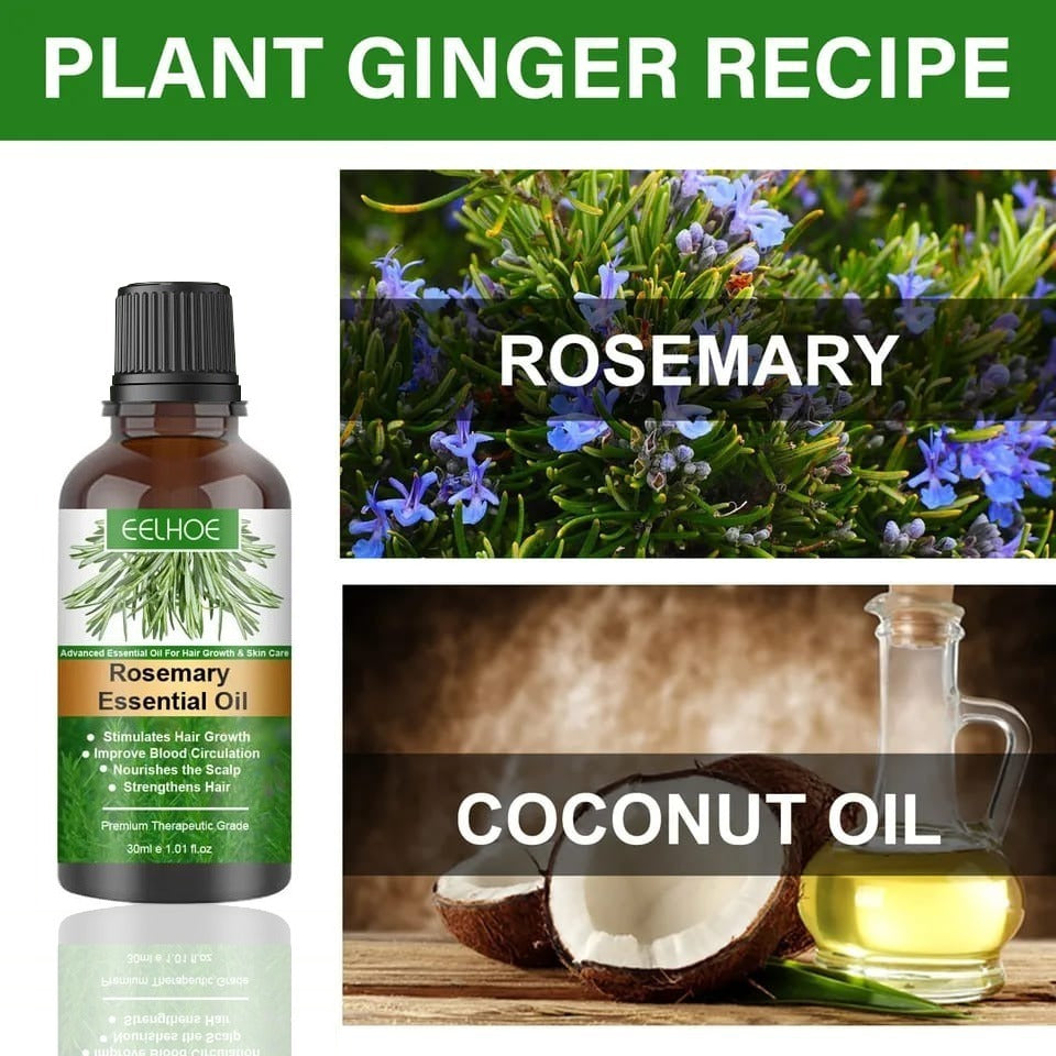 EELHOE Rosemary Essential Oil – Advanced Hair Growth & Skin Care Oil (30ml)